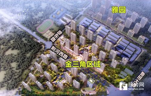 滕州金三角区域改造工程建设工程设计方案公示